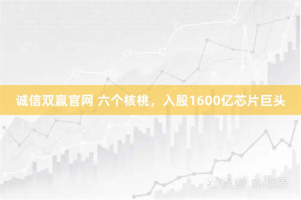 诚信双赢官网 六个核桃，入股1600亿芯片巨头