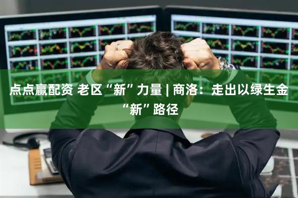 点点赢配资 老区“新”力量 | 商洛：走出以绿生金“新”路径